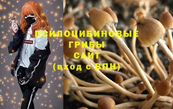 марки lsd Богородск
