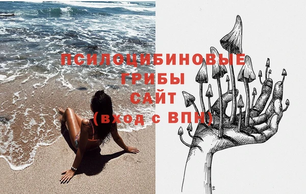 дурь Богородицк