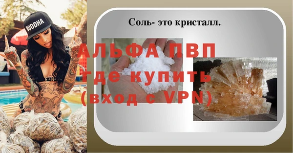 стафф Богданович