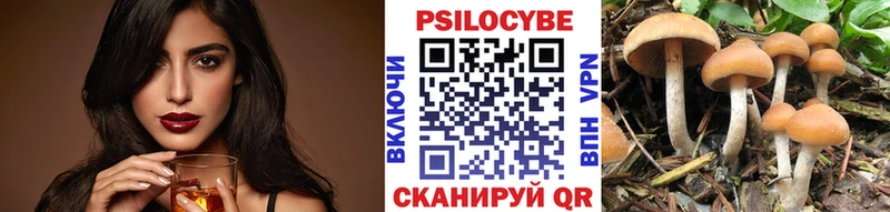 Галлюциногенные грибы Cubensis  где найти наркотики  Выборг 
