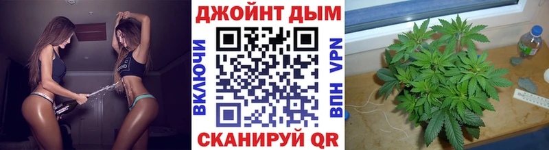купить наркотик  Выборг  Марихуана SATIVA & INDICA 